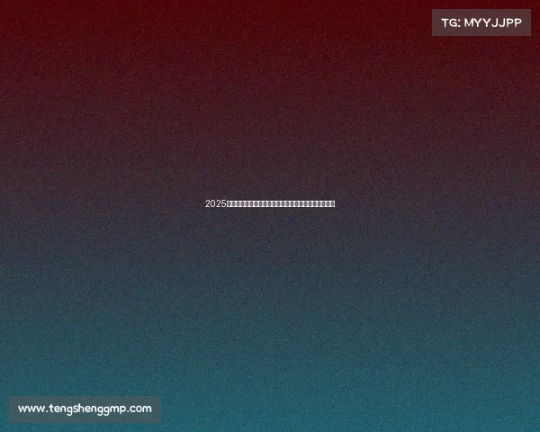 2025本田第十二代雅阁前瞻：这些升级让老车主都坐不住了